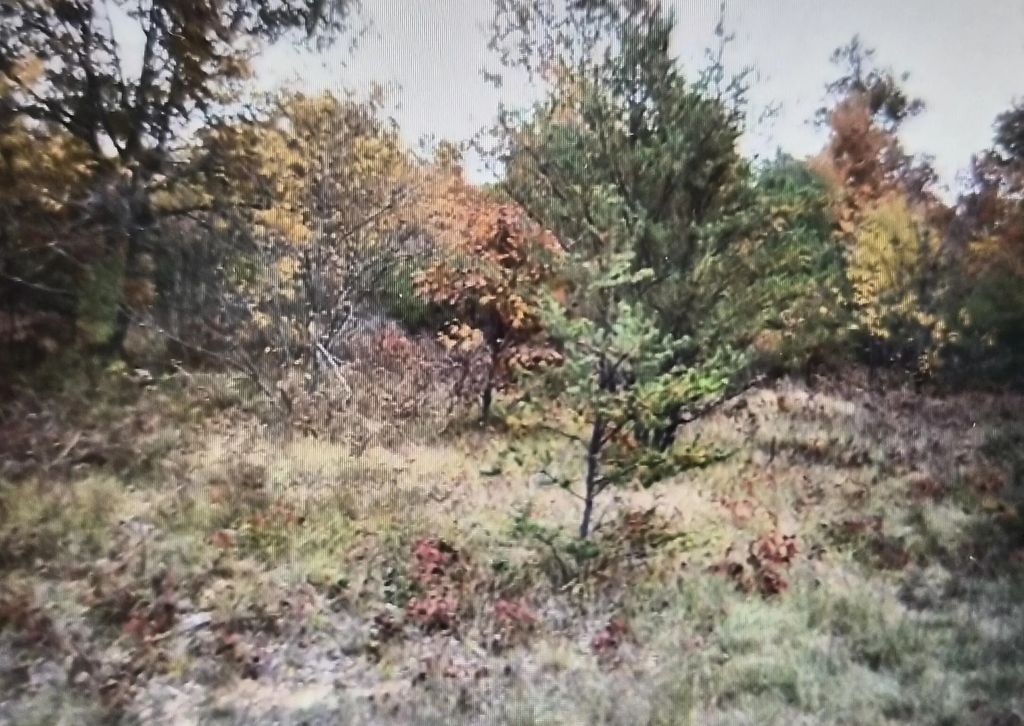 Lot 16 Northwood Drive, Grayling