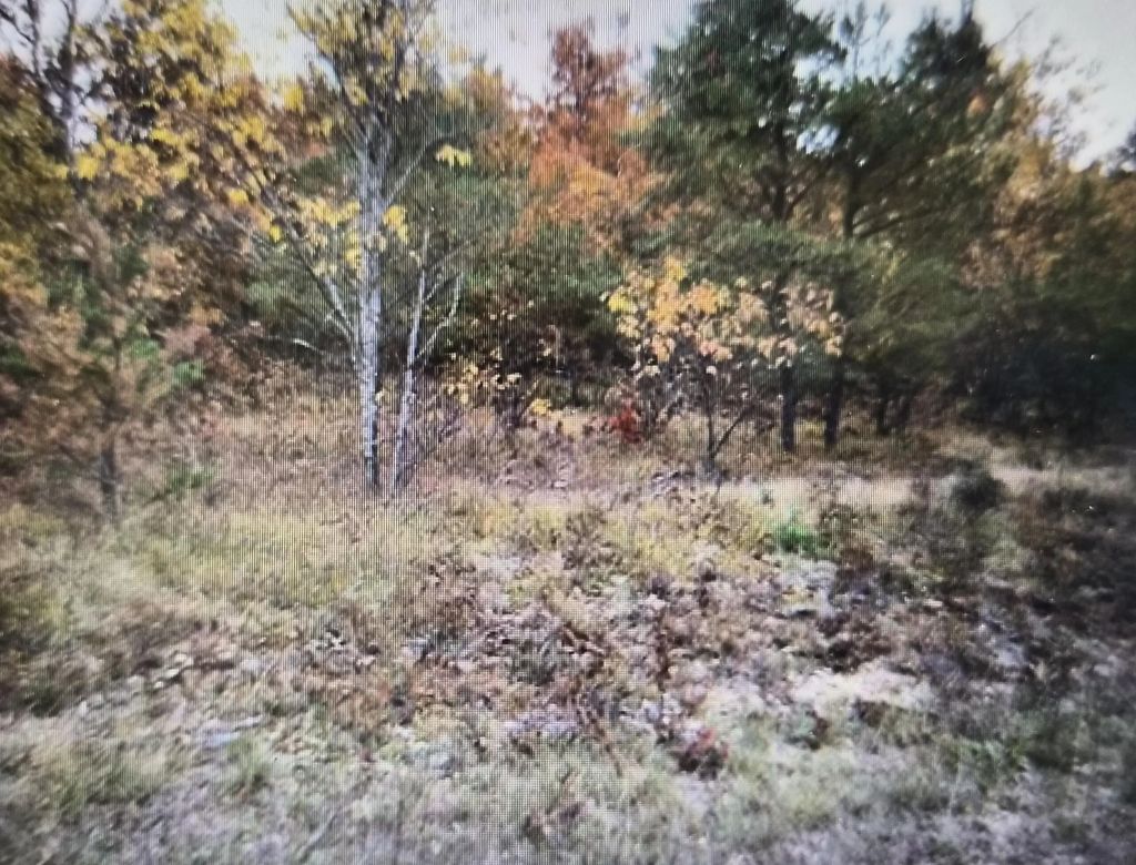 Lot 17 Northwood Drive, Grayling