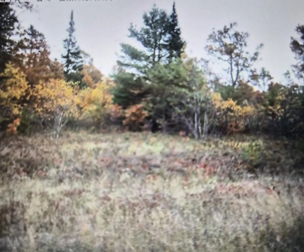 Lot 19 Northwood Drive, Grayling