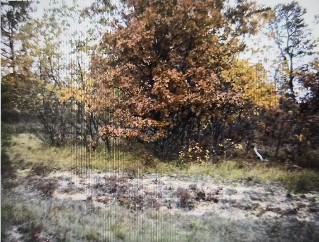 Lot 20 Northwood Drive, Grayling