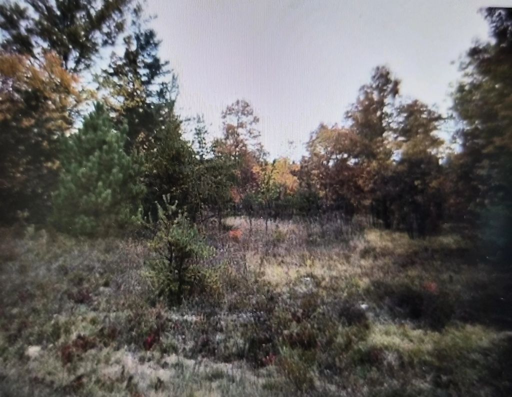 Lot 21 Northwood Drive, Grayling