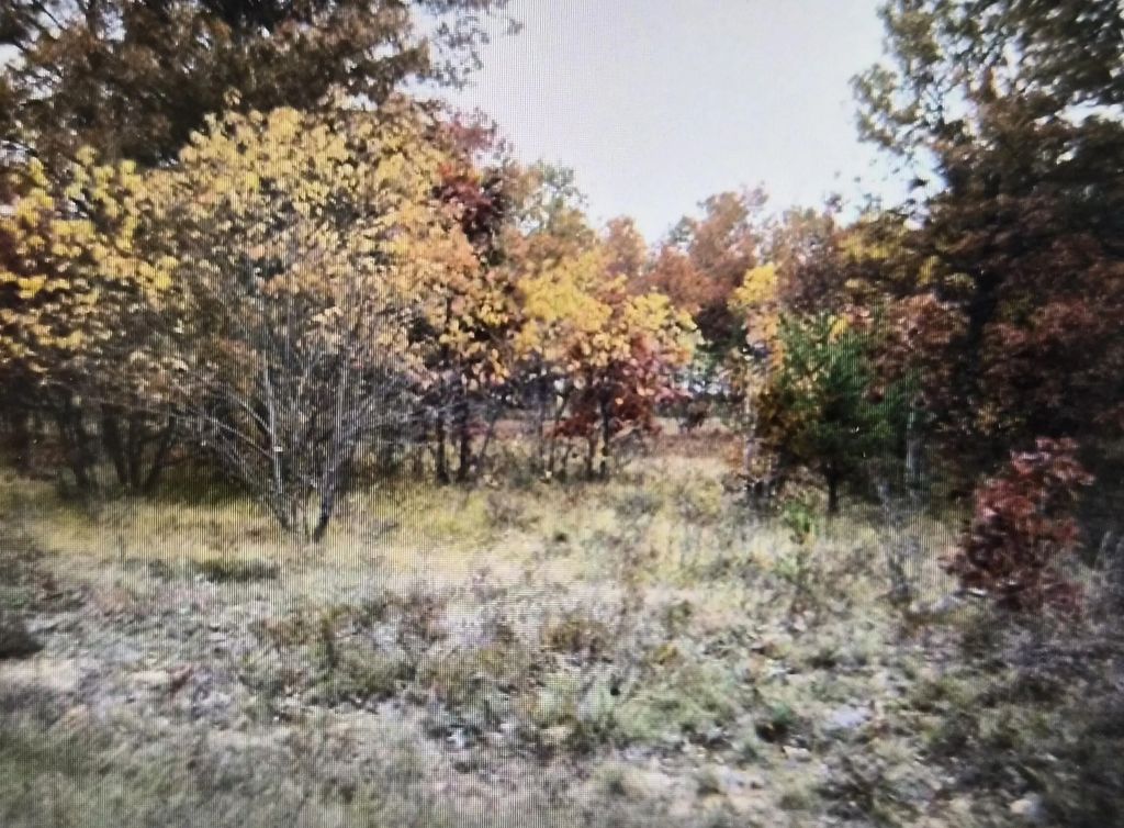 Lot 22 Northwood Drive, Grayling