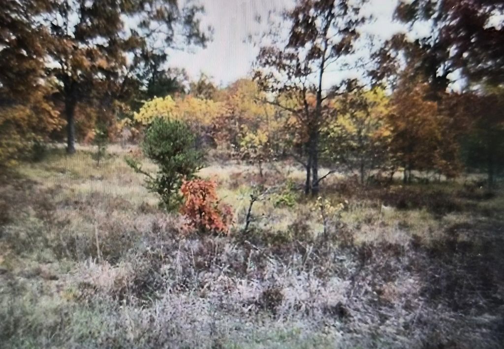 Lot 24 Northwood Drive, Grayling