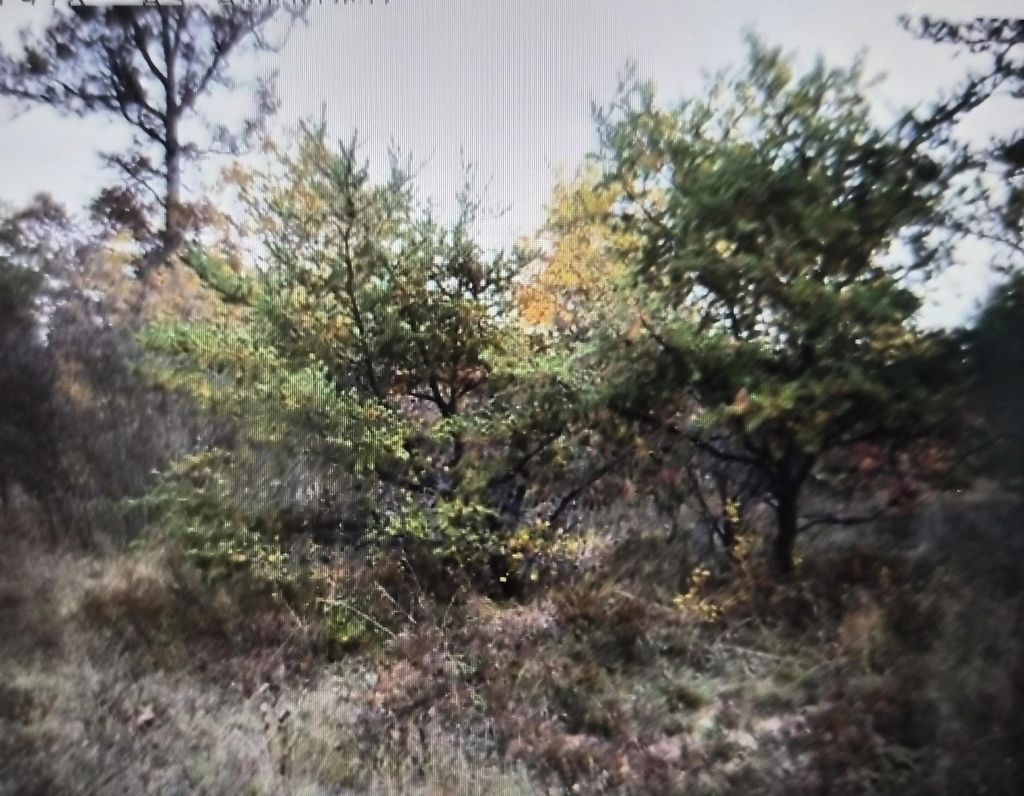 Lot 25 Northwood Drive, Grayling