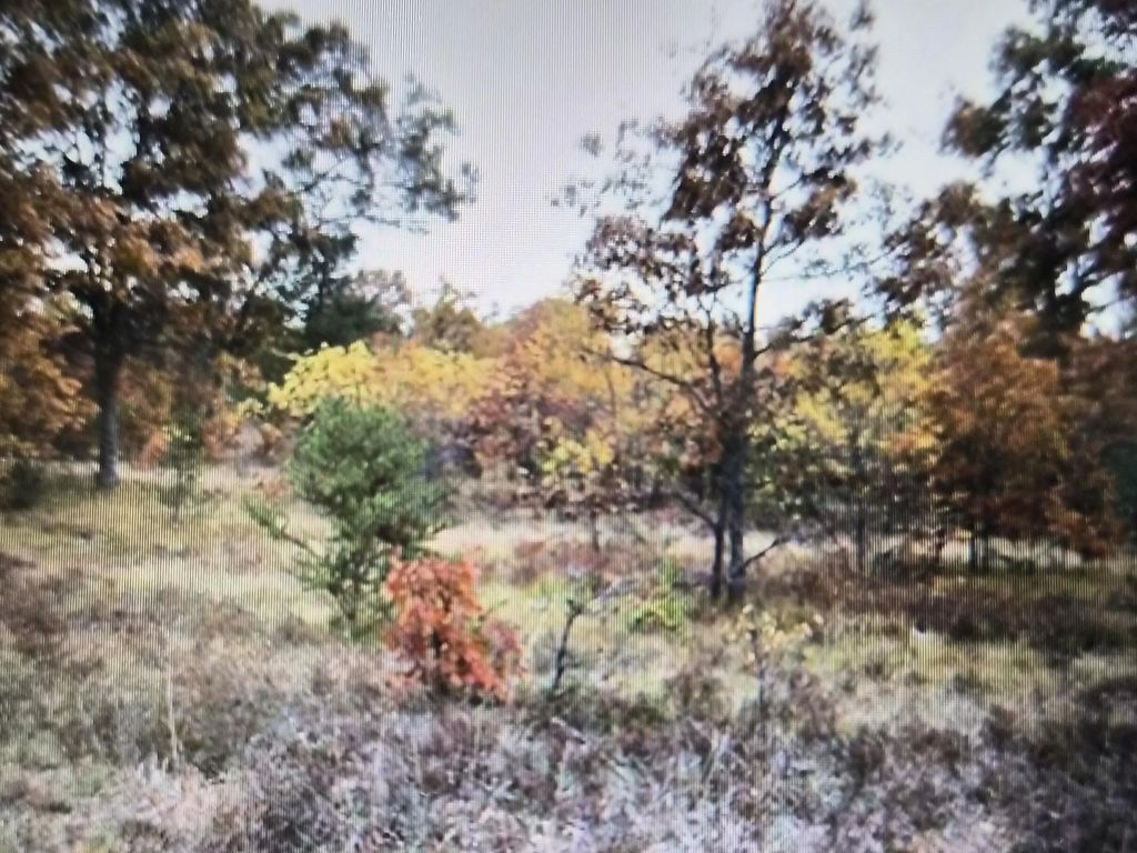 Lot 27 Northwood Drive, Grayling
