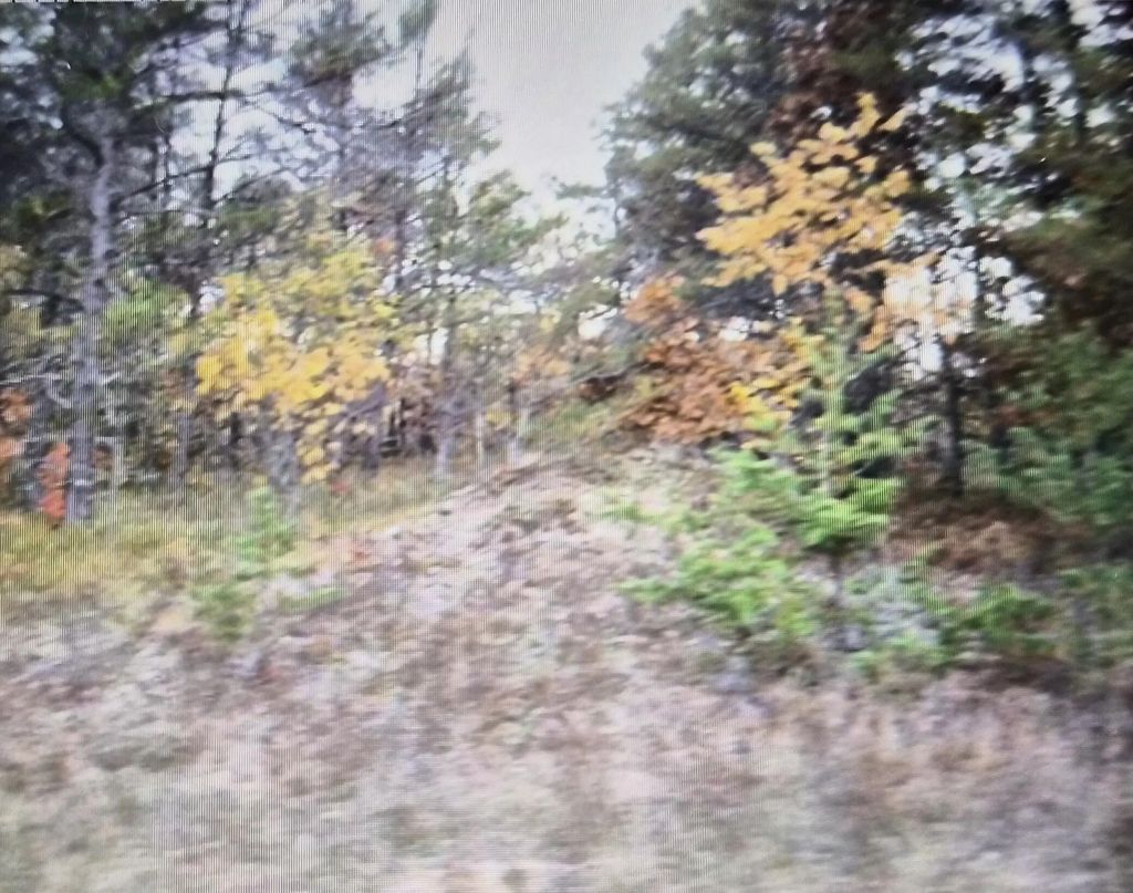 Lot 29 Northwood Drive, Grayling