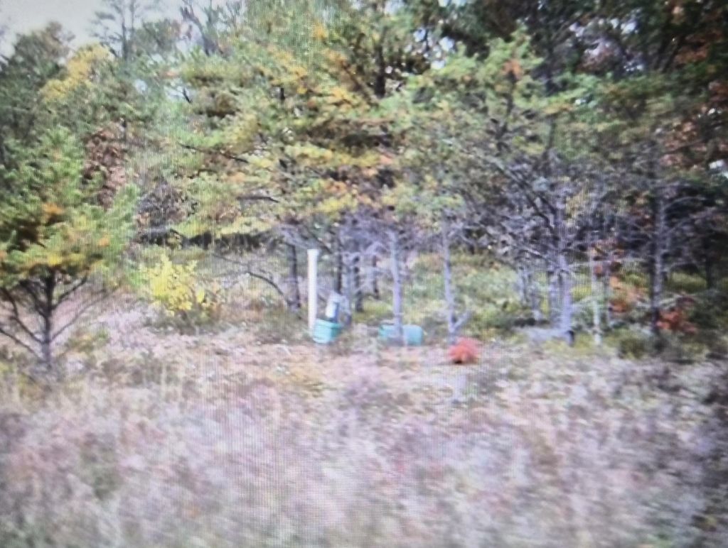 Lot 30 Northwood Drive, Grayling