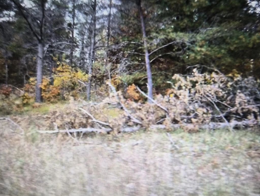Lot 31 Northwood Drive, Grayling
