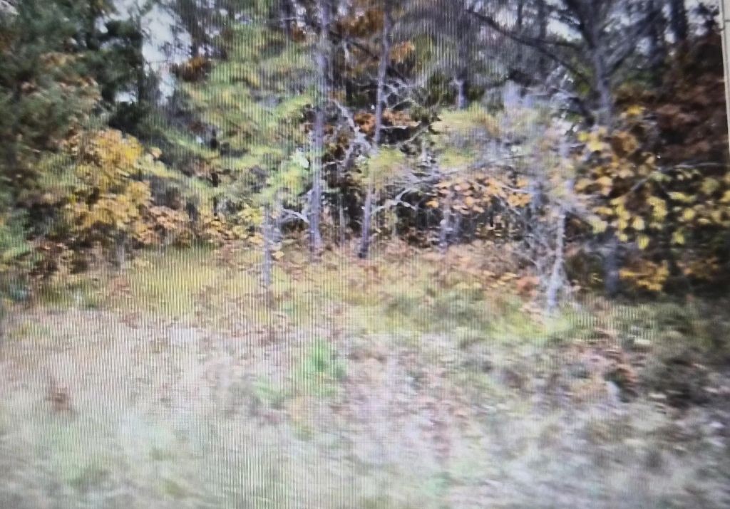Lot 32 Northwood Drive, Grayling