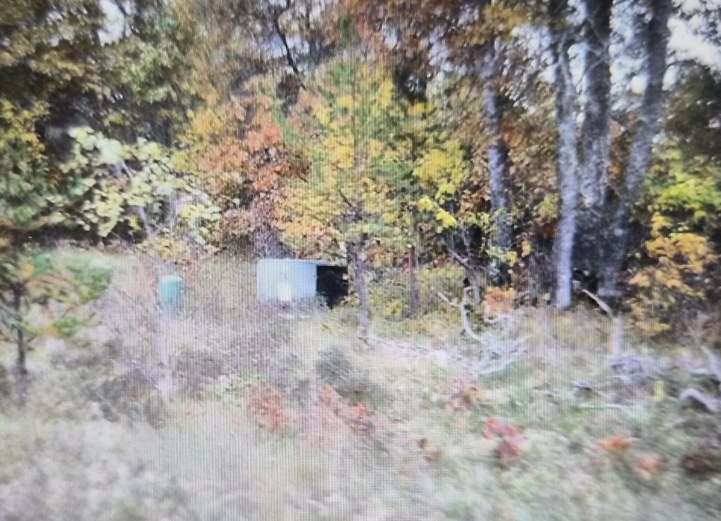 Lot 37 Northwood Drive, Grayling