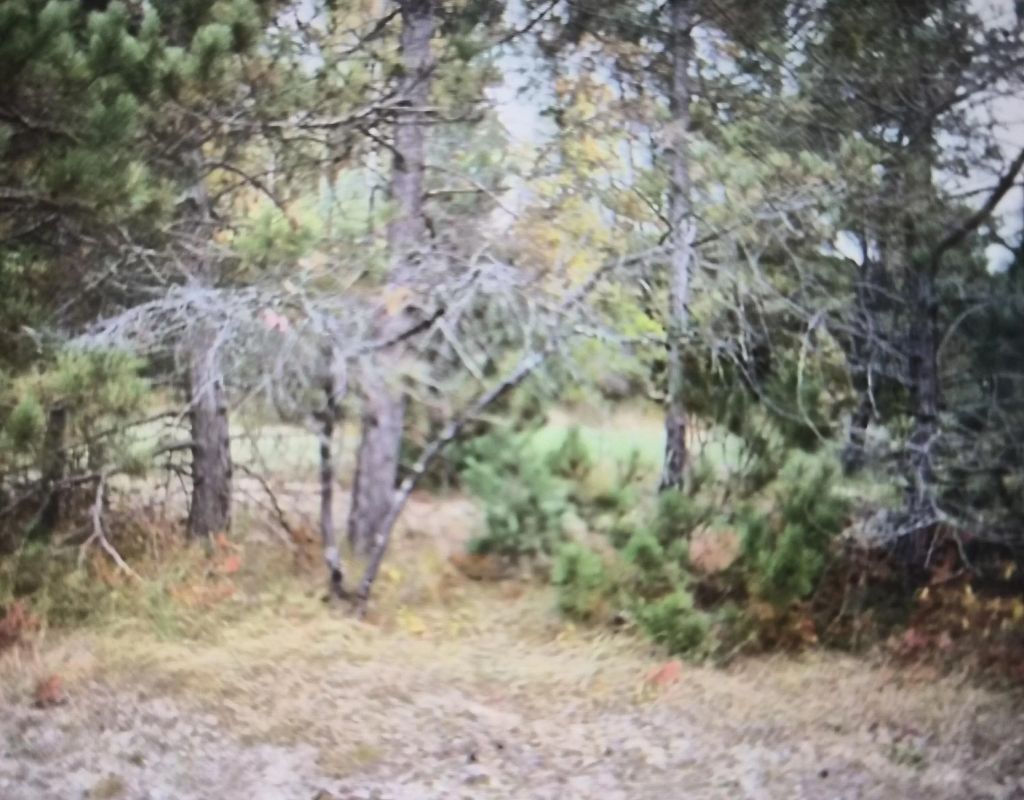 Lot 39 Northwood Drive, Grayling