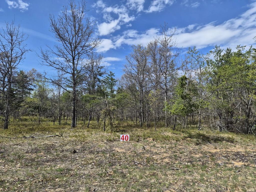 Lot 40 Northwood Drive, Grayling