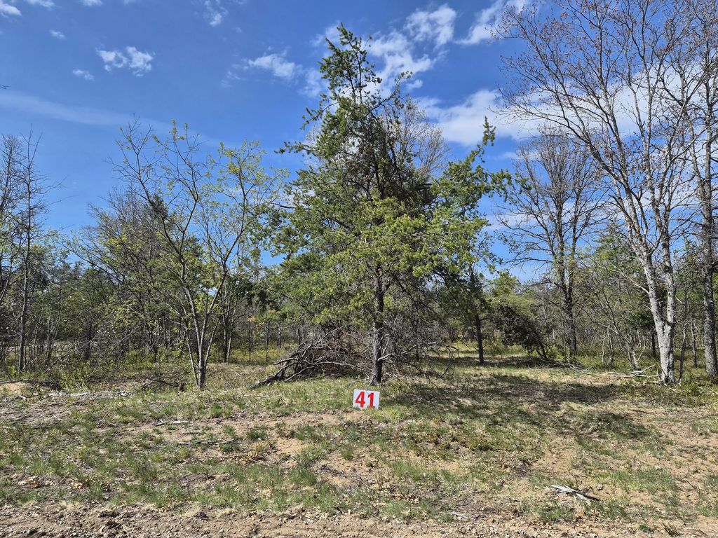 Lot 41 Northwood Drive, Grayling