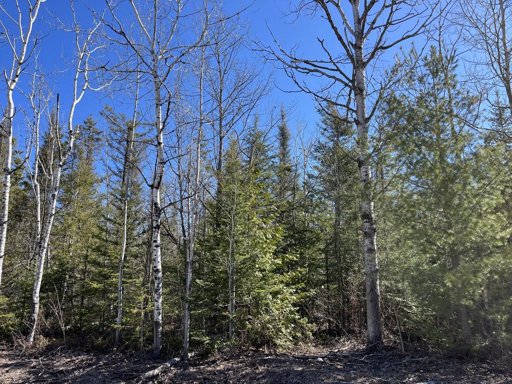 L 251-252 Pineview Drive, Presque Isle
