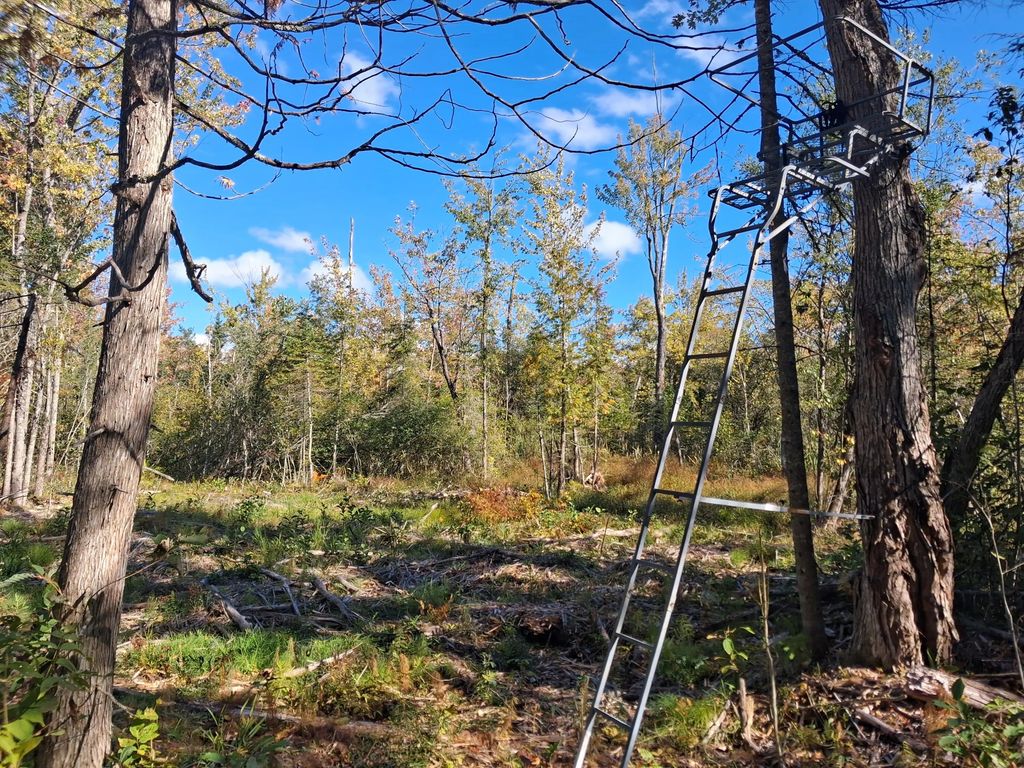 40.44 Ac Zolner Road 40.44 Acres, Cheboygan