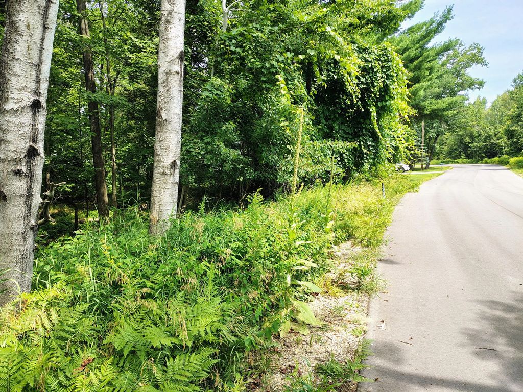 Lot 2 Chippewa Trail 003-402-002-0000, Prudenville