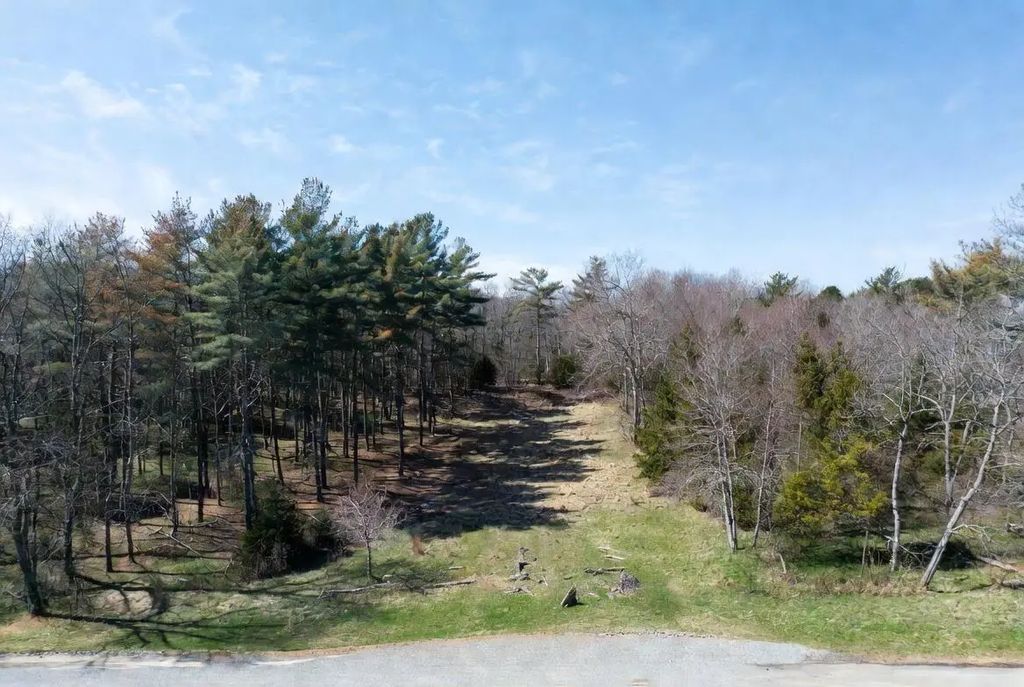 113200 Congdon Road, Wolverine