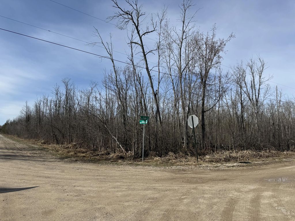 0.37 Acres Dekruif Road Section 24, Levering