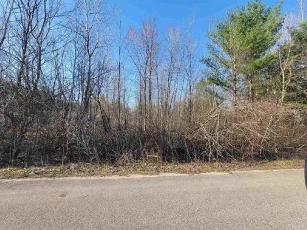 0.50 Ac Maple Street 0.50 Acres, Gladwin