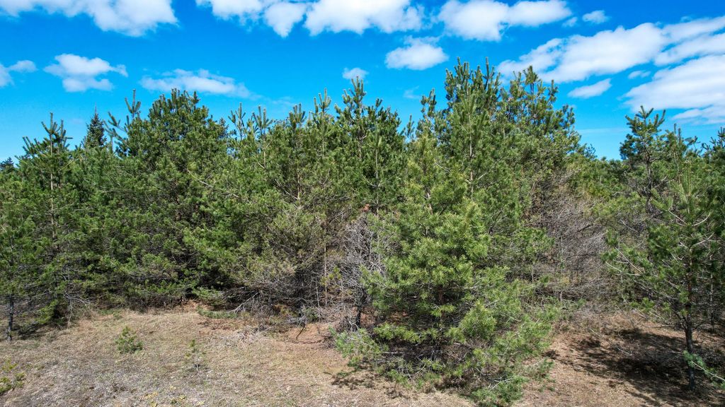 2.83 Ac N Black River Road 2.83 Acres, Cheboygan