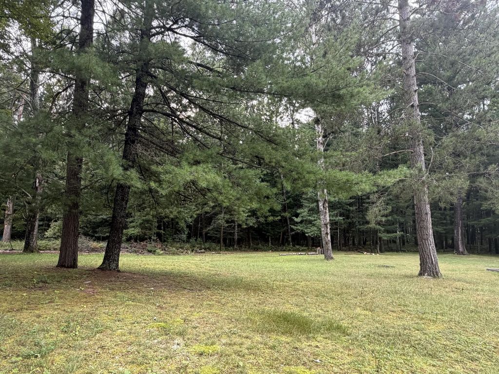 11831 Woody Road, Roscommon