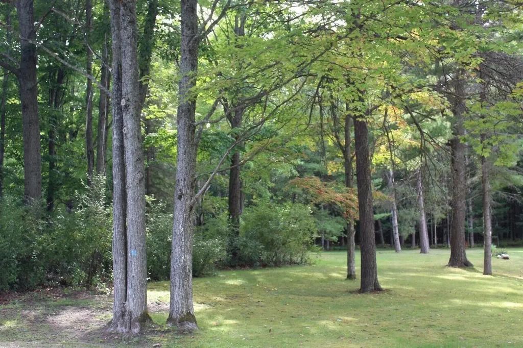 11831 Woody Road, Roscommon
