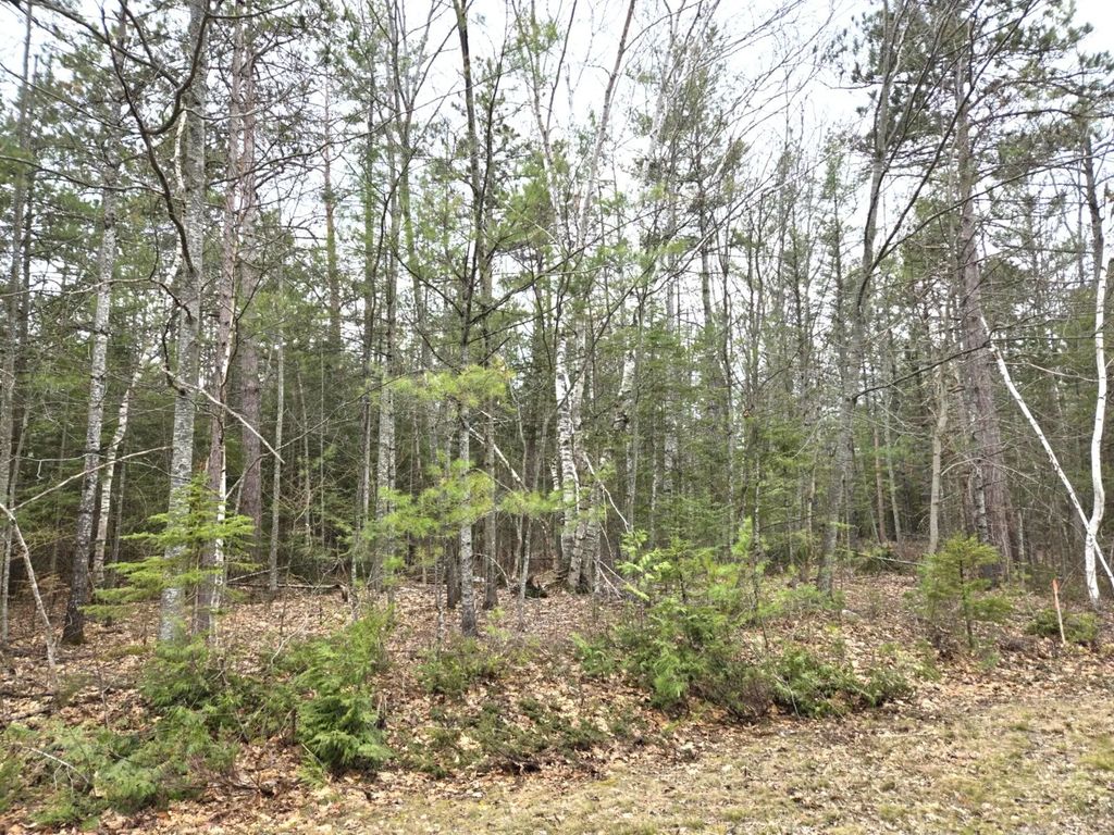 Lot 513 Balsam Circle, Presque Isle
