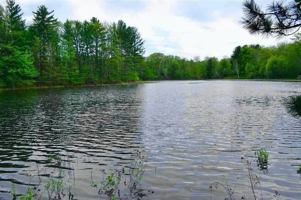 4571 Hiawatha Trail + Lots 45 & 46, Gaylord