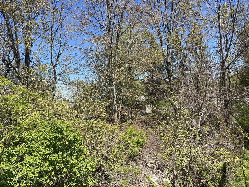 Lot 122 Carman Avenue, Houghton Lake