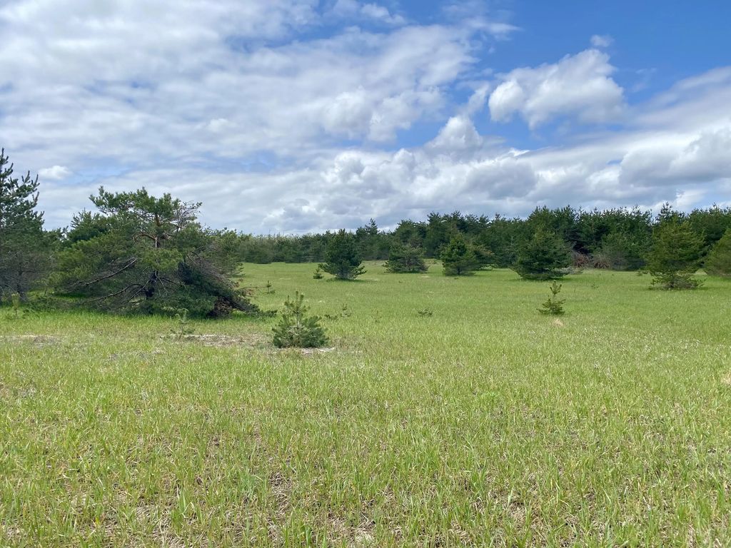 11.5 Ac N Townline Road 11.5 Acres, Gaylord