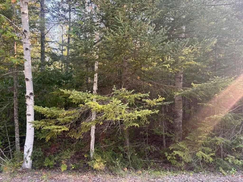 L 202-203 Sunaqua Drive, Presque Isle
