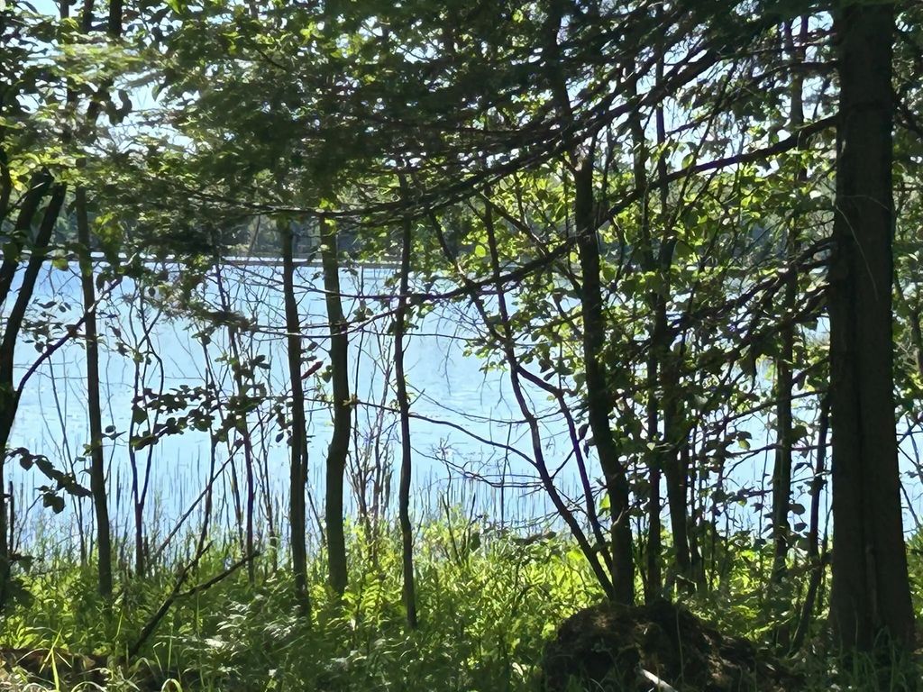 0.94 Ac S Wegwas Drive 0.94 Acres, Trout Lake