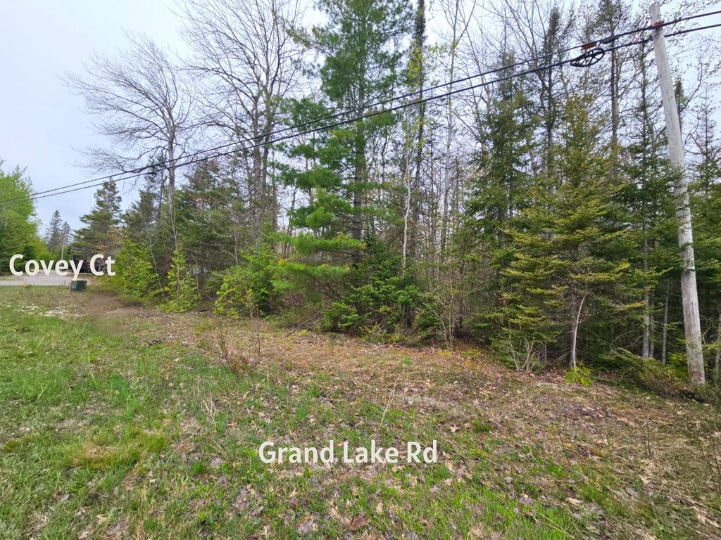 Lot 204 Esau Terrace Covey Ct/grand Lake Rd, Presque Isle