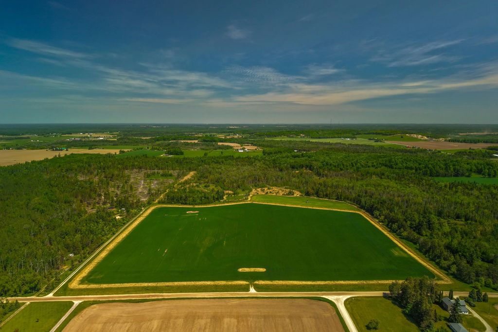 14390 Taylor Hawks Road 80 Acres, Lachine