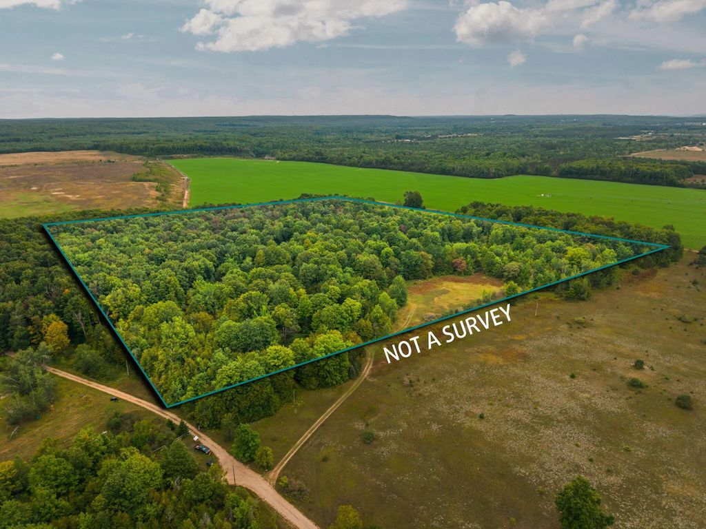 4120 Blackberry Lane 32.2 Acres, Elmira