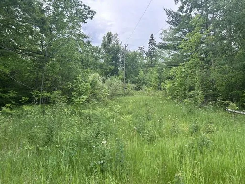 0.75 Ac N Us-23 0.75 Acres, Spruce