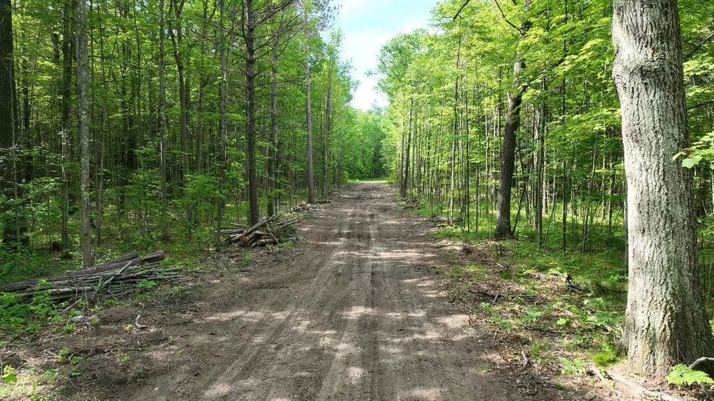0.98 Ac State Street 0.98 Acres, Roscommon