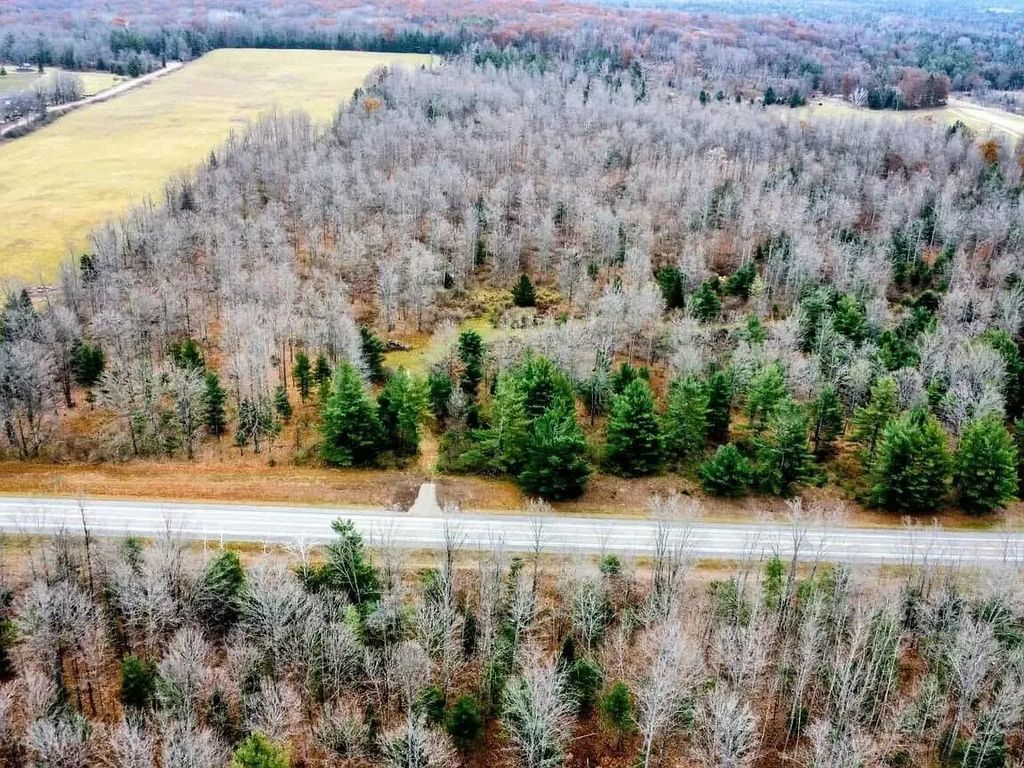 38.76 Ac N Michigan 65 Highway 38.76 Acres, Curran