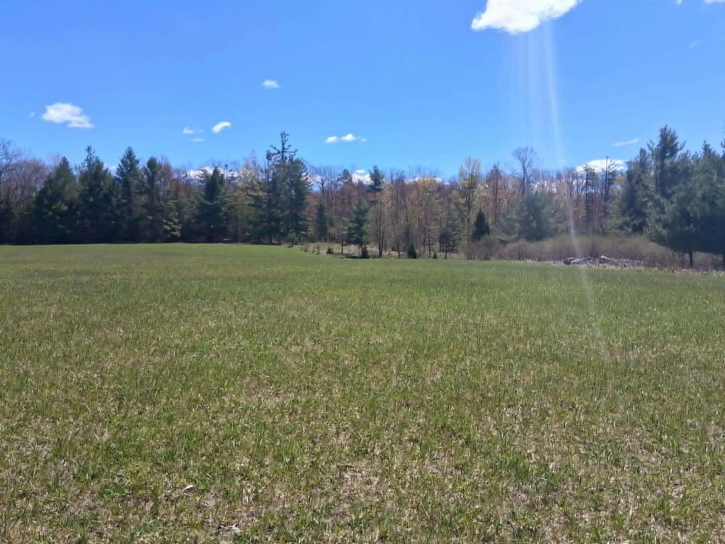 26.21 Ac Crowell Road 26.21 Acres, Curran