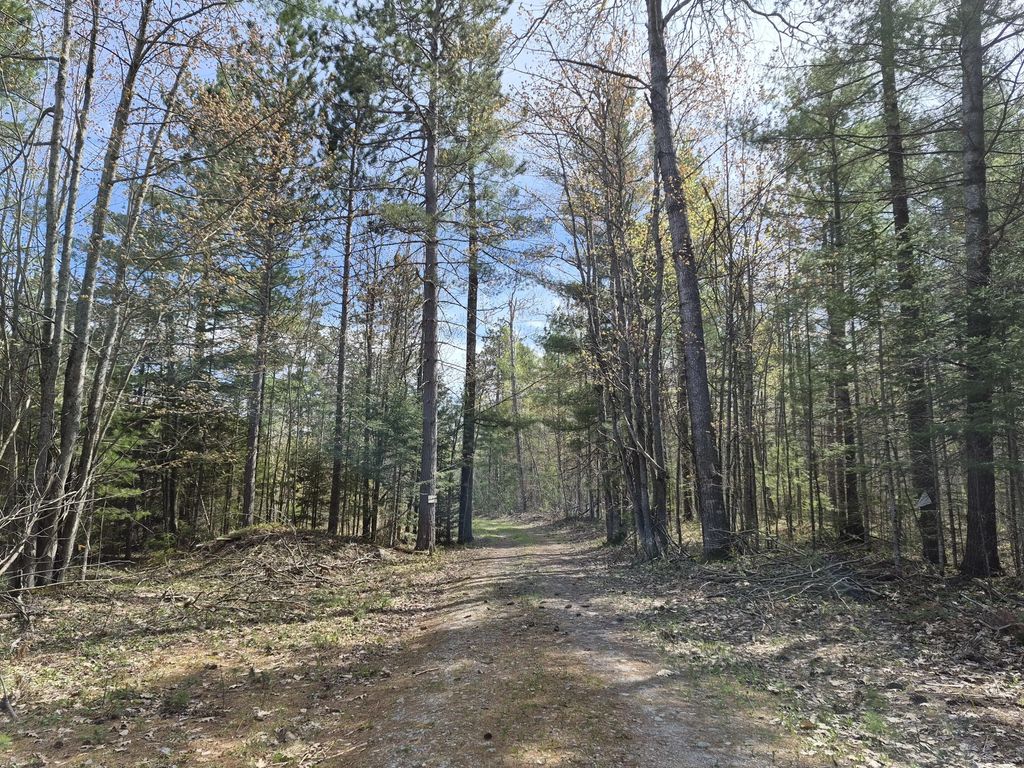 Par 13c Ocqueoc Lake Road 40.66 Acres, Parcel 13c, Millersburg
