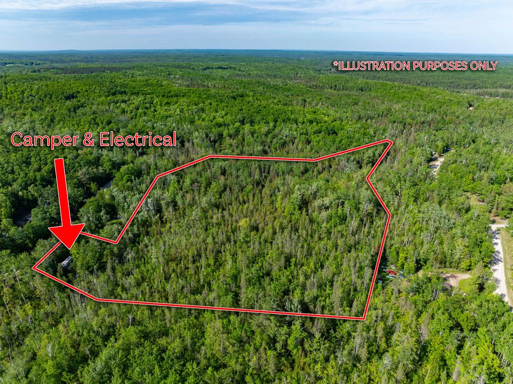 2477 Mont Gabriel Road, Wolverine