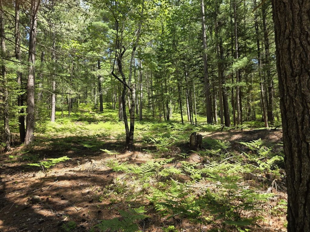 15450 Wildlife Trail, Wolverine