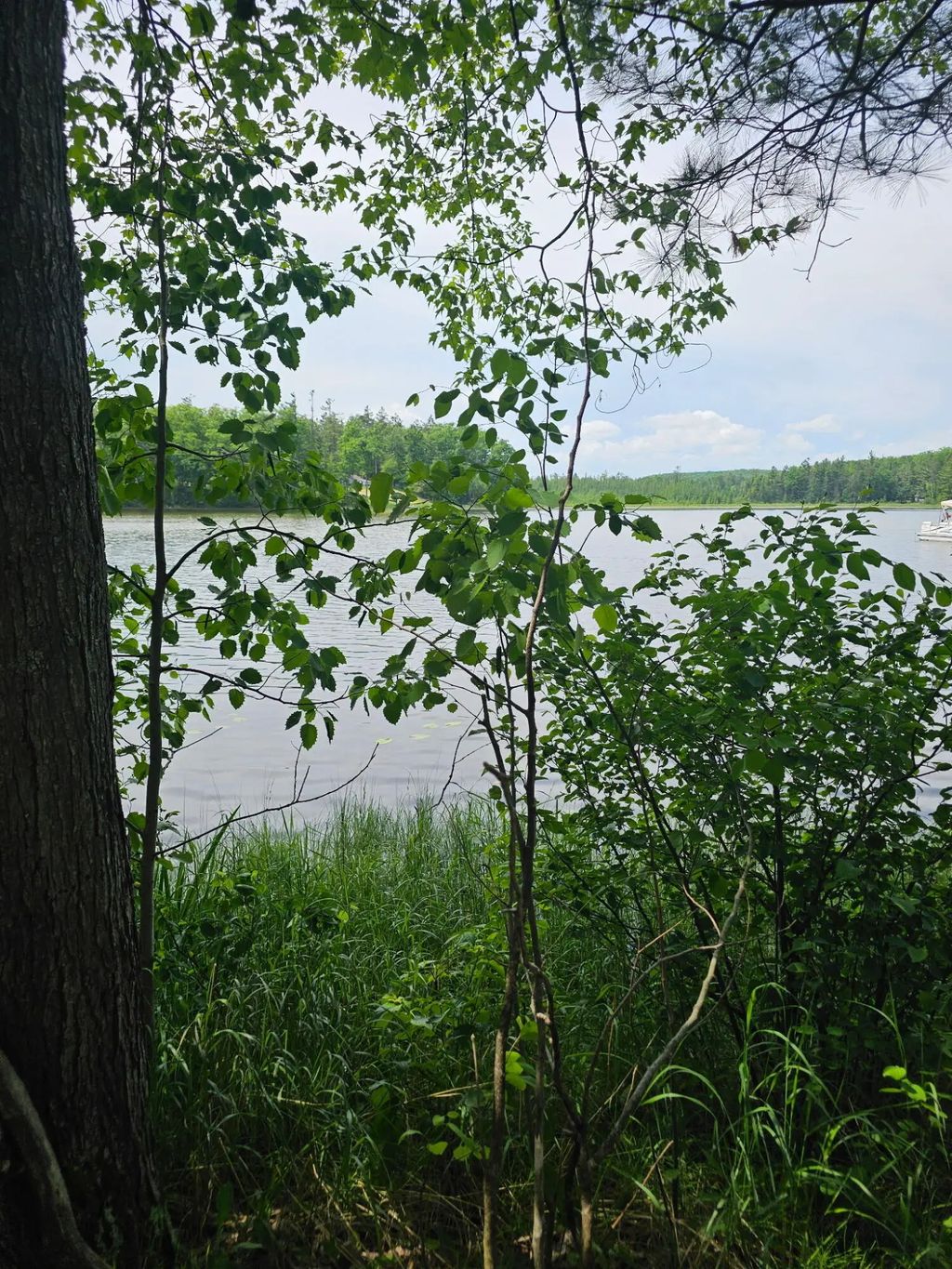 2195 Lake Drive, Mio