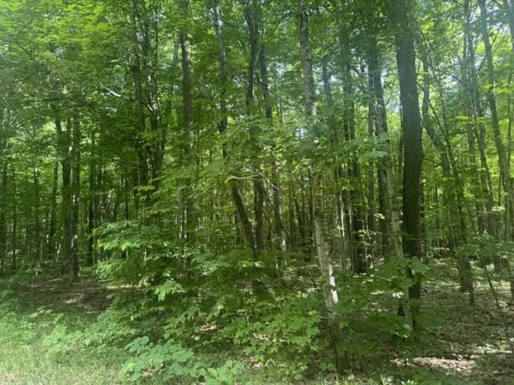 4621 Carrick Trail, Mancelona