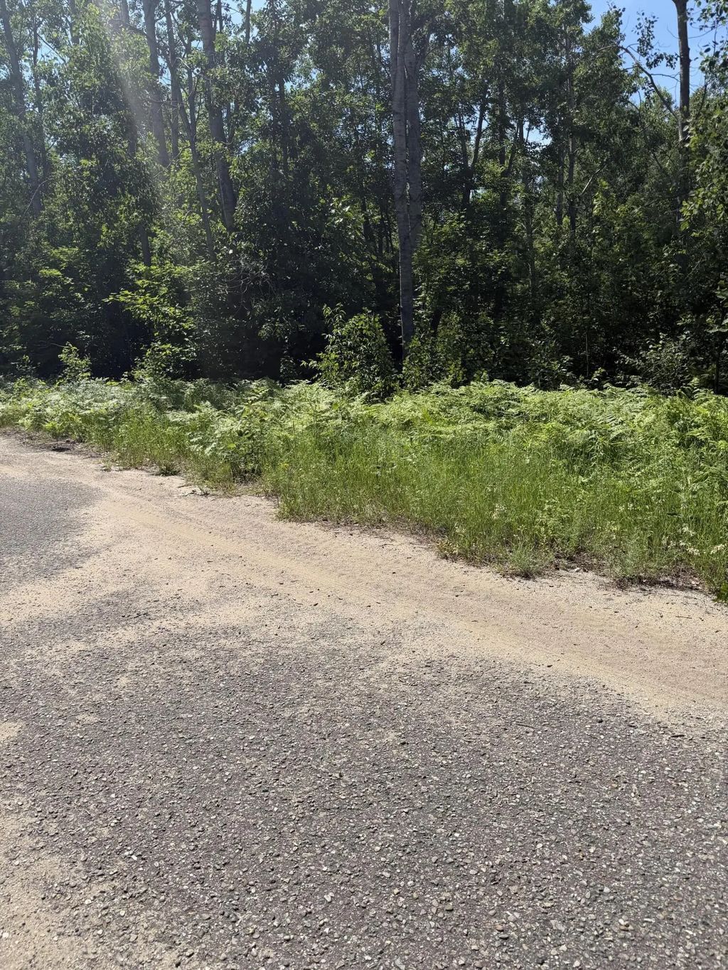 Lot 73 Northover Circle Road, Mancelona