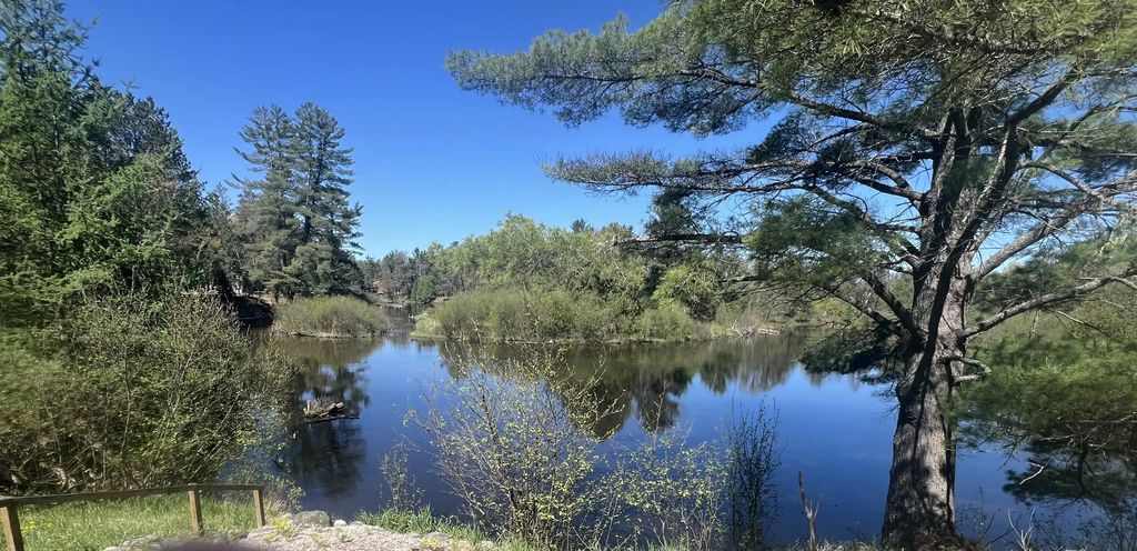 1733 N Manistee River Road, Grayling