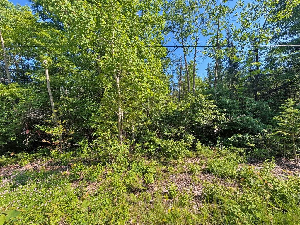 V/l Pineview Drive Lot 278, Presque Isle