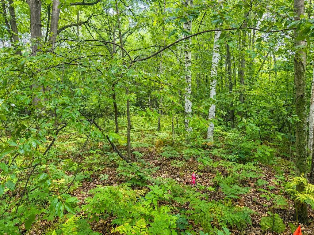 Vl .61 Ac Bay City Trail, Houghton Lake