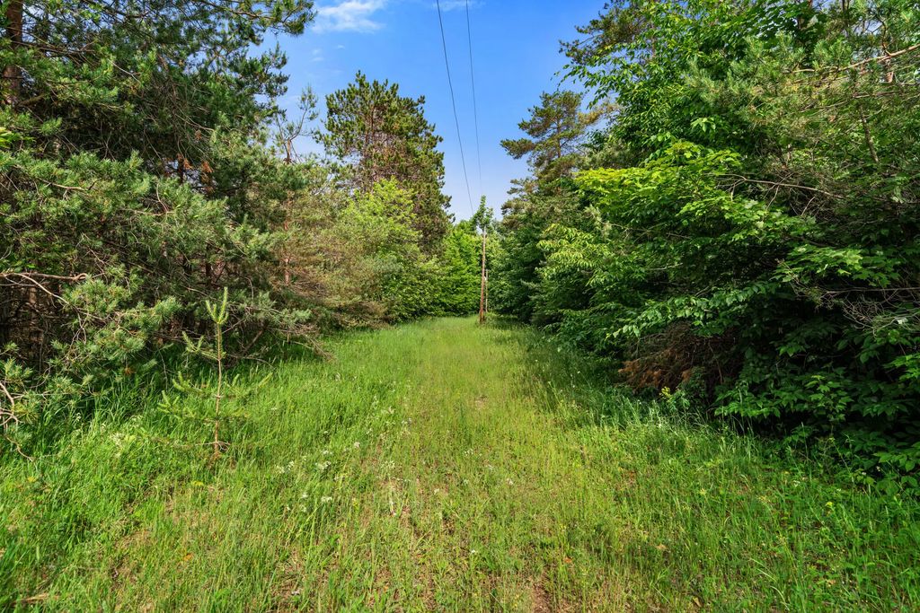 3745 Shaff Road, Gaylord