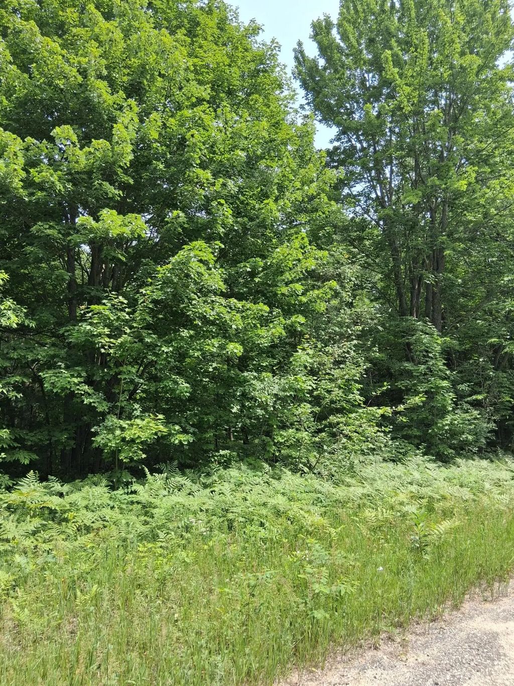 Lot 569 Crestwood Drive 05-11-525-569-00, Mancelona